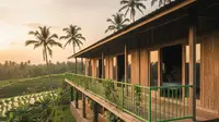 10 Desain Rumah Tropis Modern yang Cocok di Iklim Indonesia, Optimalkan Hunian Tropis