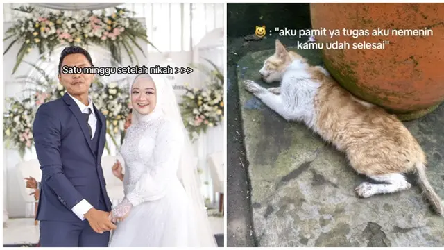 Ucapan adalah Doa, Wanita Ini Ditinggal Kucingnya Meninggal Seminggu Usai Nikah