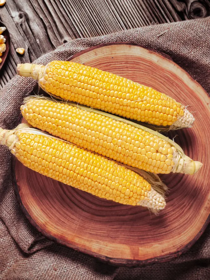jagung muda