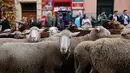 Warga melihat kawanan domba yang digembalakan melewati pusat kota Madrid, 21 Oktober 2018. Tradisi ini untuk mempertahankan hak menggembala dan migrasi  ternak secara tradisional yang semakin terancam praktik pertanian modern. (AP Photo/Paul White)