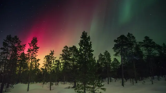 Ilustrasi aurora, northern lights, keajaiban