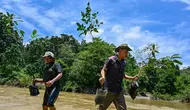 Bagaimana Cara Melestarikan Tumbuhan untuk Menjaga Keseimbangan Ekosistem dan Keanekaragaman Hayati