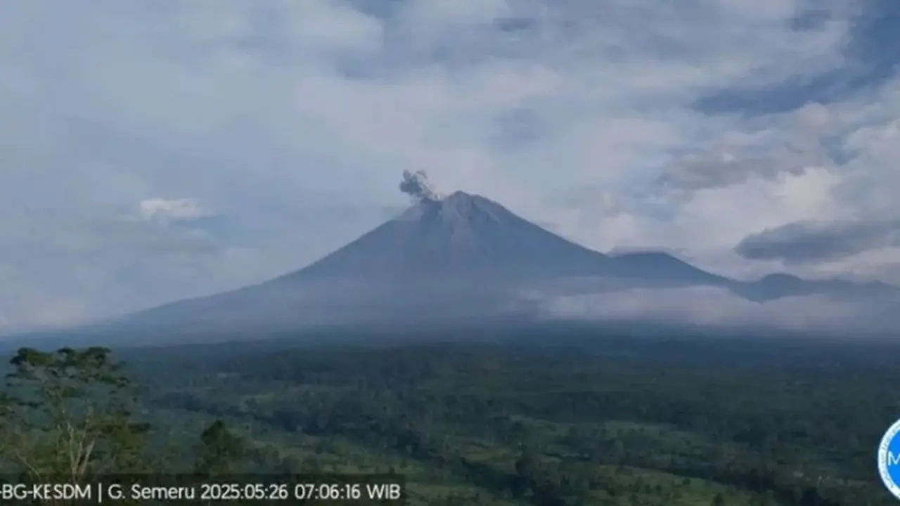 Gunung Semeru erupsi, Tinggi Letusan Capai 500 Meter (Istimewa)