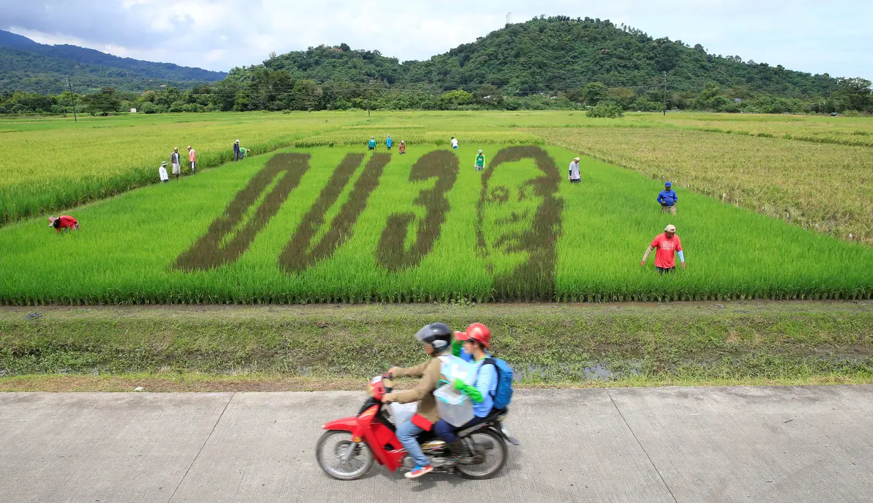 Pengendara motor melintasi sawah yang menampilkan karya seni wajah Presiden Filipina Rodrigo Duterte dengan huruf D U dan nomor 3, sebuah permainan kata dari nama Presiden "DU30", di Kota Los Banos, Manila Selatan, Kamis (6/10). (REUTERS/Romeo Ranoco)