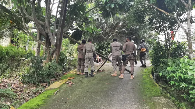 Portal jalan