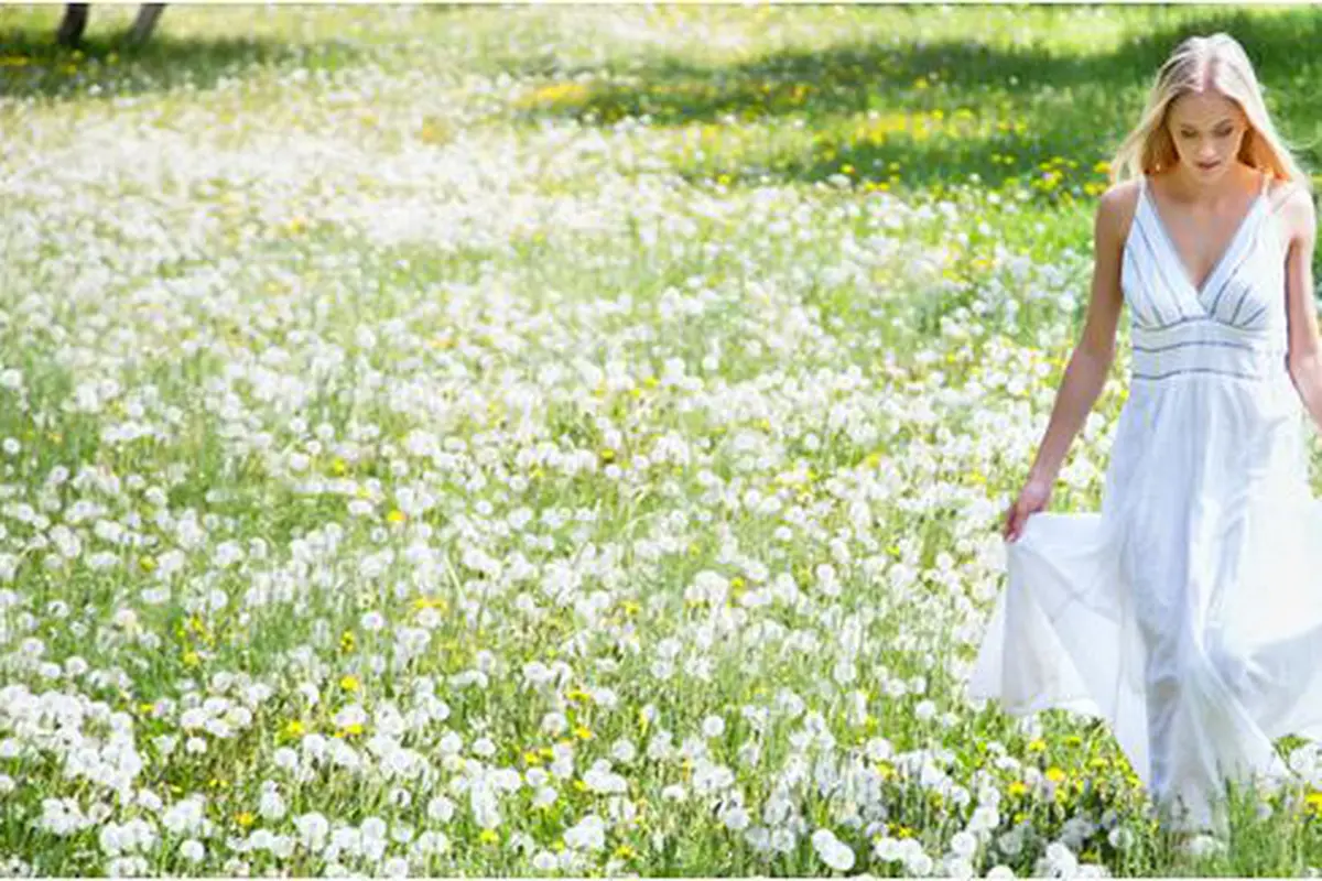 Foto:Copyright shutterstock.com