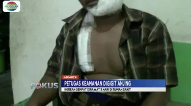 Korban penyerangan pitbull di Rajawali, Jakarta Pusat, laporkan pemilik anjing yang tak kunjung tanggung jawab.