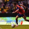 Bawa Spanyol Juarai Piala Dunia 2026, Fabian Ruiz dan Gavi Dihadiahi Puluhan Kilogram Tomat!