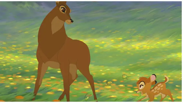 Foto: copyright yah.in