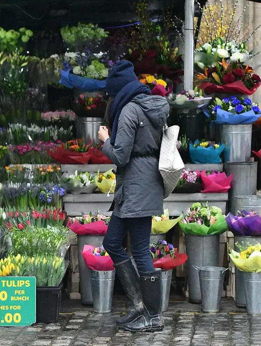 Meghan yang terlihat sedang memilih bunga saat itu mengenakan beanie berwarna navy, jaket abu-abu yang dipadukan dengan scarf, blue jeans dan boots hitam. Saat itu Meghan terlihat sendiri tanpa didampingi Harry. (doc.dailymail.com)