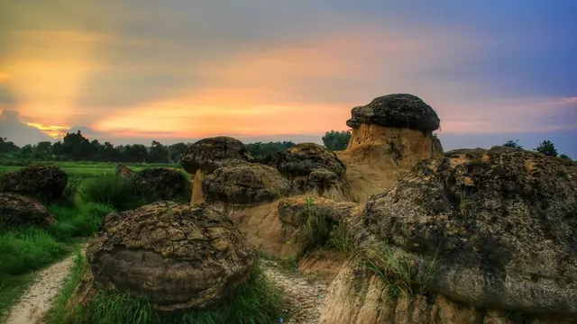 Bukit Jamur Jawa Timur