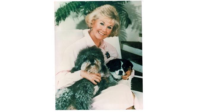 Doris Day (Sumber: Facebook Doris Day Animal Foundation (DDAF))