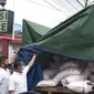 Polsek IT 2 Palembang Sumsel menemukan truk muatan pupuk PT Pusri bersama ratusan karung pupuk subsidi di kawasan Rambutan Banyuasin Sumsel (Liputan6.com / Nefri Inge)