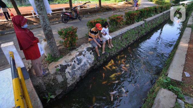 Warga memberi makan ikan yang dikembangbiakkan di saluran air di Perumahan Puri Pamulang, Tangerang Selatan, Selasa (8/9/2020). Selokan sepanjang 400 meter yang dulu kumuh, kini disulap menjadi kolam ikan untuk hiburan dan meningkatkan perekonomian warga dengan menjualnya. (merdeka.com/Arie Basuki)