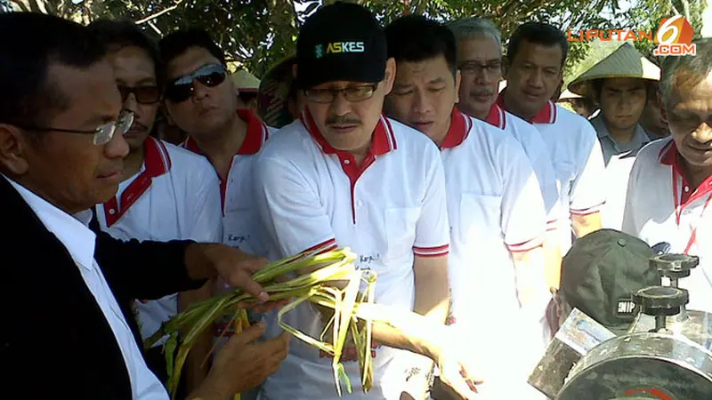 dahlan-panen-130824b.jpg