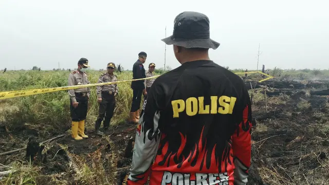 Kebakaran hutan di Riau