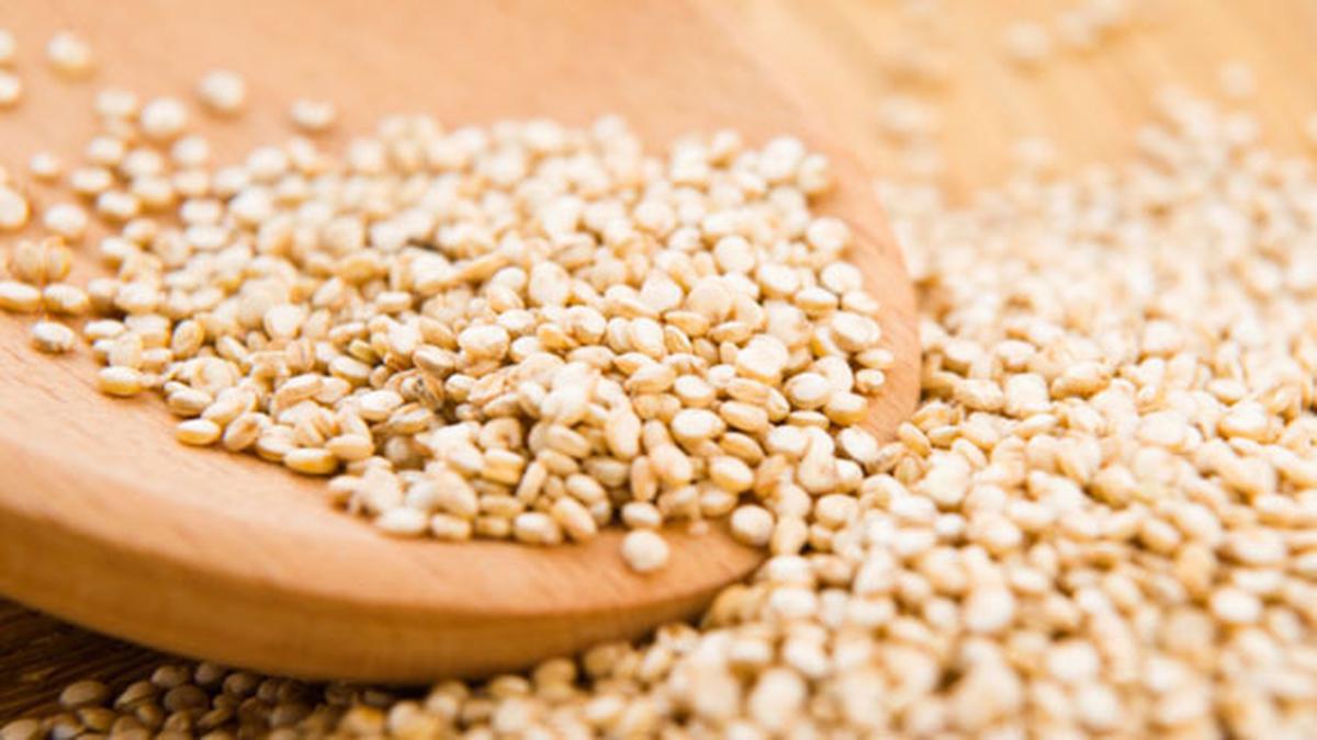 Quinoa, Makanan Sehat Untuk Penderita Diabetes Beauty
