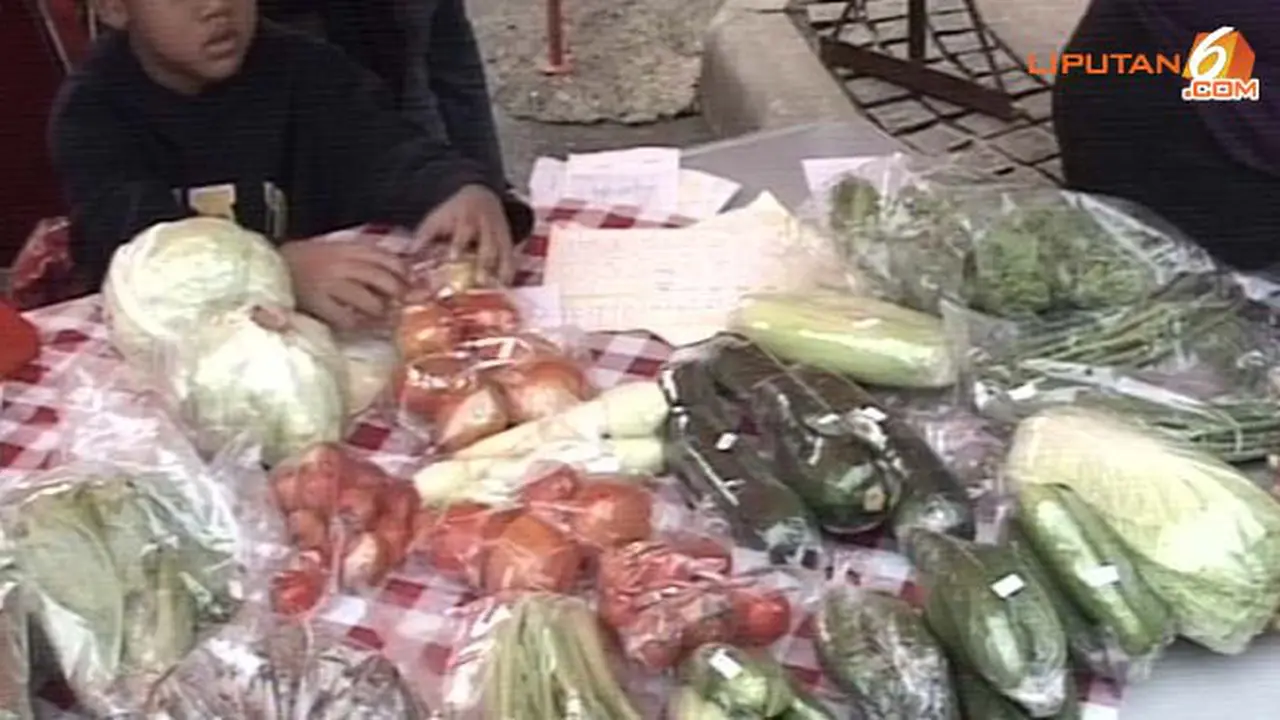sayur-organik-150216b.jpg