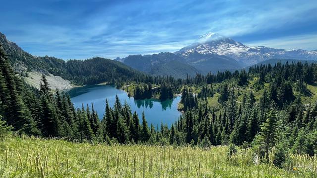 Mount Rainier National Park