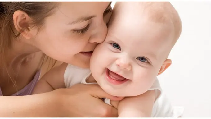 Foto : copyright howzzdat.com