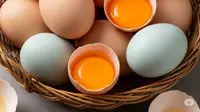 Ilustrasi telur ayam dan telur bebek (Ilustrasi: Gemini AI)