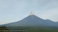 Gunung Semeru alami tiga kali erupsi dengan tinggi letusan mencapai 800 meter (Istimewa)