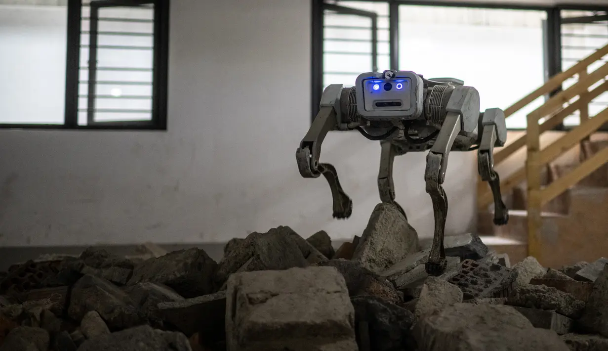 Robot "anjing" yang dapat berlari, melompat, dan membalik fasilitas pasokan listrik patroli. Versi yang lebih kecil menari sementara android berwarna kuning cerah memainkan piano. (Philip FONG / AFP)