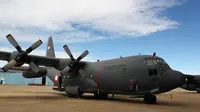 Spesifikasi Hercules C-130 yang Jatuh di Medan