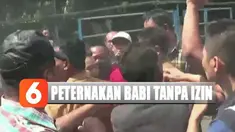 Sejumlah warga dan karyawan peternakan babi mengusir tim gabungan pada saat petugas hendak melakukan evakuasi babi yang ada di dalam kandang.