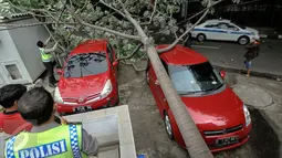 Dua mobil yang tengah terparkir tertimpa pohon tumbang di sebelah Pos Polisi Bundaran HI, Jakarta, Selasa (15/12). Tak ada korban jiwa akibat tumbangnya pohon yang disebabkan angin kencang tersebut. (Liputan6.com/Faizal Fanani)