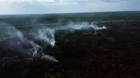 Kebakaran hutan dan lahan di Riau. (Humas BNPB)