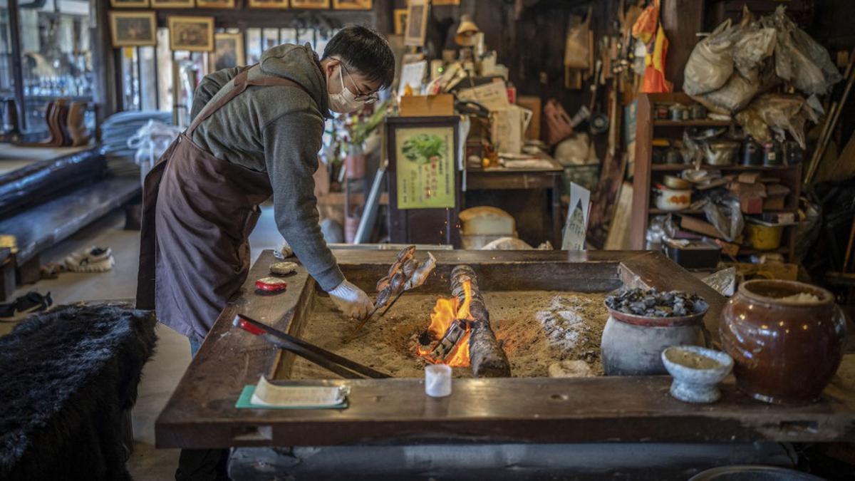 Serangan Beruang Meningkat di Jepang, Permintaan Daging Beruang Panggang Ikut Terdongkrak