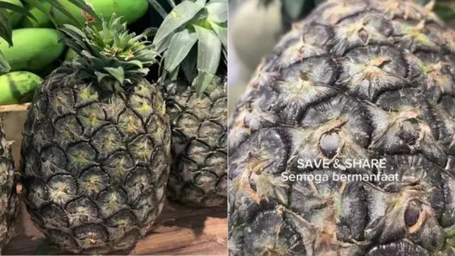 Tak Hanya Dilihat Warnanya, Begini Trik Pilih Nanas yang Manis dan Matang Sempurna