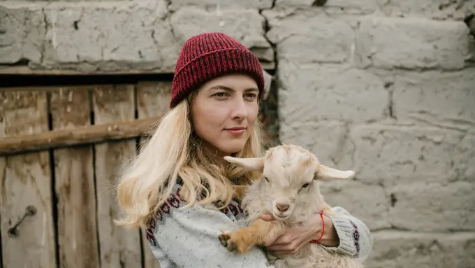 Mimpi Melihat Kambing