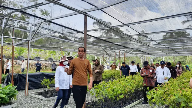 Presiden Jokowi saat meninjau Persemaian Mentawir di Ibu Kota Nusantara, Kabupaten Penajam Paser Utara, Kalimantan Timur, Kamis (23/2/2023).