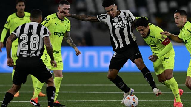 Botafogo vs Palmeiras