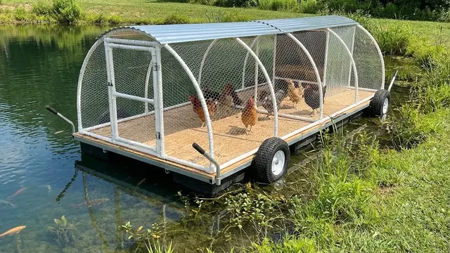 Ilustrasi Kandang Ayam Rangka Pipa PVC Ringan dan Portable/Gemini AI