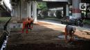 Sejumlah petugas PPSU menanam pohon di kolong Tol Becakayu, Jakarta, Kamis (12/1/2023). Pemerintah Provinsi DKI Jakarta melakukan penataan lahan melalui program penghijauan sepanjang lima kilometer di tepi saluran Kalimalang  kolong tol Bekasi Cawang Kampung Melayu (Becakayu), Jakarta Timur untuk menjaga mutu air baku Jakarta. (Liputan6.com/Faizal Fanani)
