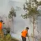 Kebakaran Hutan Lawu Berstatus Tanggap Darurat