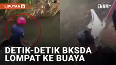 Tegang! Tim BKSDA Lompat ke Buaya di Padang