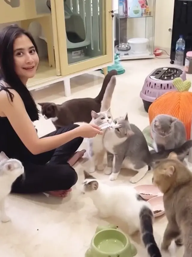 Dulu Sempat Takut, Ini 7 Potret Prilly Latuconsina Adopsi Kucing Imut Bernama Mochi