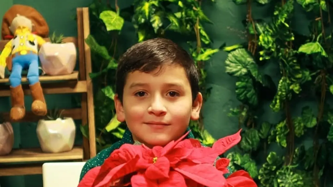 Aaron's Garden
