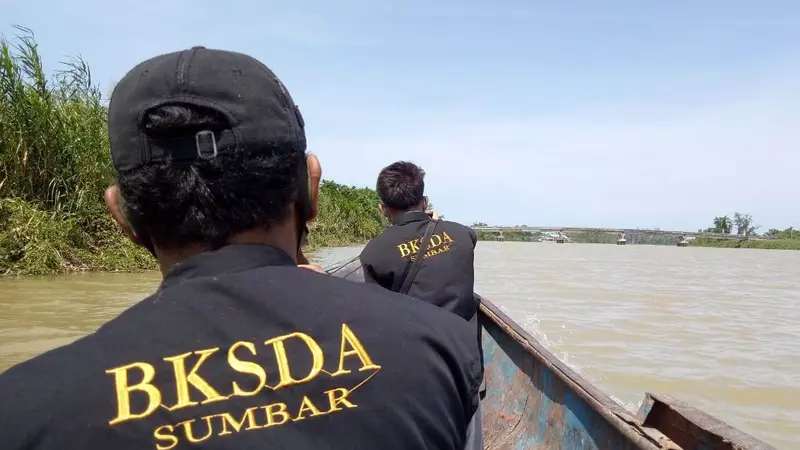 BKSDA Resor Pasaman melakukan penelusuran di Sungai Batang Pasaman, Sumatera Barat.