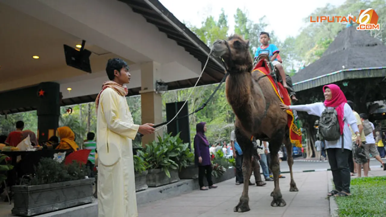 taman-safari-130811b.jpg