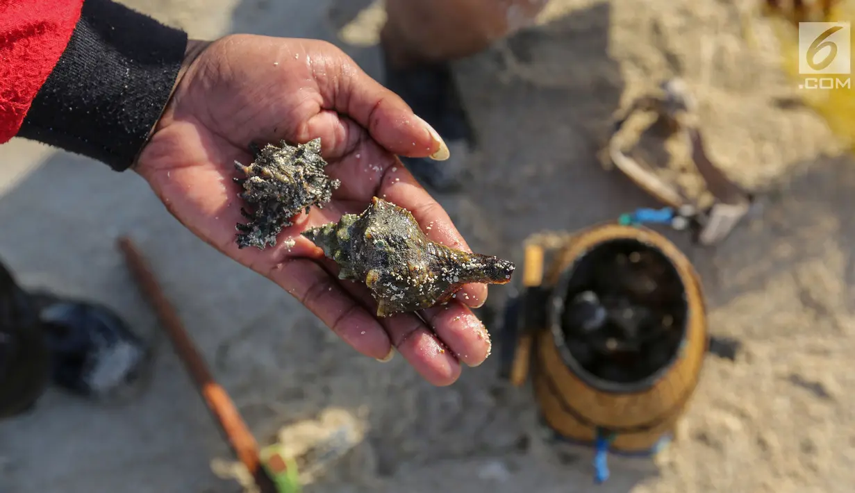 Warga menunjukkan kerang laut hasil tangkapan di pesisir pantai Pulau Pasir, Lombok Timur, Sabtu (3/8/2019). Mereka menangkap kerang untuk dikonsumsi dengan menggunakan alat sederhana yang dibuat dengan besi menyerupai garpu. (Liputan6.com/Fery Pradolo)