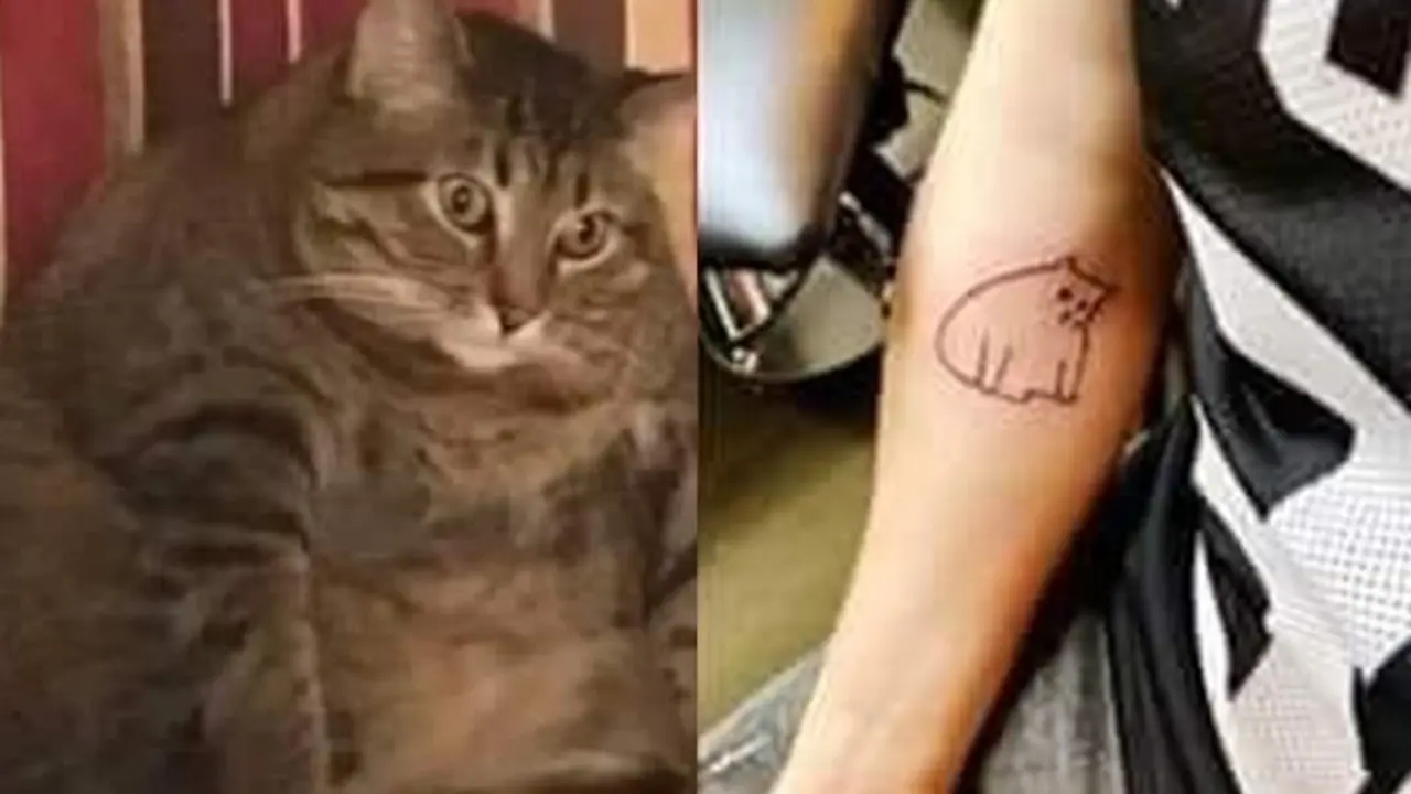 6 Tato Bentuk Kucing Ini Bentuknya Nyeleneh, Bikin Ngakak