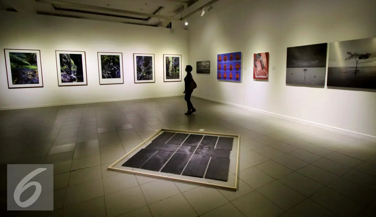 Pengunjung menikmati pameran fotografi bertema Abad Fotografi di Galeri Nasional, Jakarta, Selasa (15/11). Pameran ini menampilkan 50 karya seni dari 20 perupa asal Indonesia dan Mancanegara. (Liputan6.com/Gempur M. Surya)