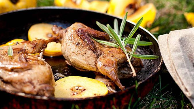 10 Manfaat Daging Burung Puyuh Untuk Kesehatan Penuh Nutrisi Hot Liputan6 Com