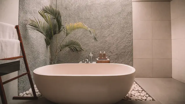 Pohon Palem