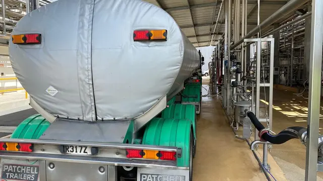 Susu Kambing Formula